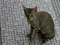 P1090679.jpg
