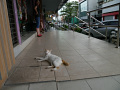 P1090680.jpg