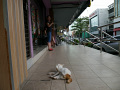 P1090682.jpg