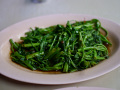 P1090705.jpg