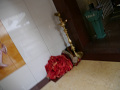 P1090773.jpg
