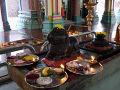 P1090778.jpg