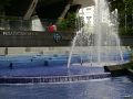 P1090808.jpg