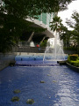 P1090810.jpg