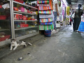 P1090850.jpg