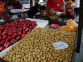 P1090866.jpg