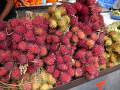 P1090867.jpg