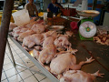 P1090873.jpg