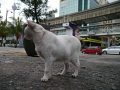 P1090912.jpg